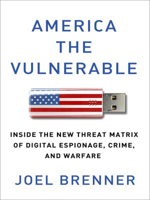 cover image of America the Vulnerable